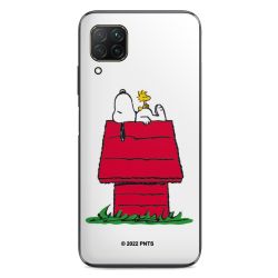 Snoopy and Woodstock Klassisch