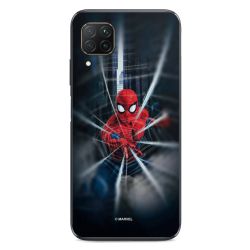 Toile Spider-Man