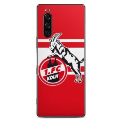 Folien für Smartphones matt