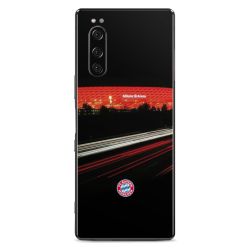 Foils for Smartphones matt