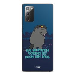 Folien für Smartphones matt