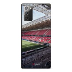 Folien für Smartphones matt