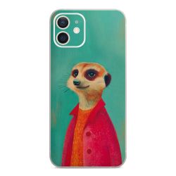 Foils for Smartphones matt