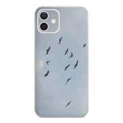 Foils for Smartphones matt