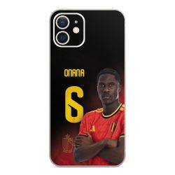 Foils for Smartphones matt