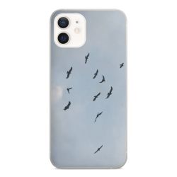 Foils for Smartphones matt