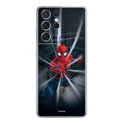 Toile Spider-Man