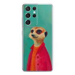 Foils for Smartphones matt