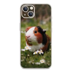 Foils for Smartphones glossy