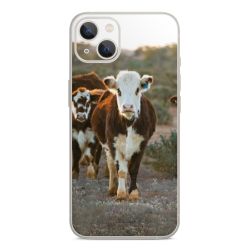 Foils for Smartphones glossy