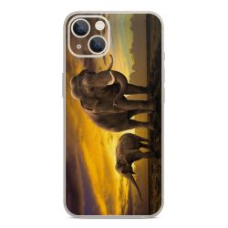 Foils for Smartphones glossy