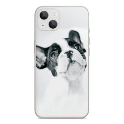 Foils for Smartphones glossy