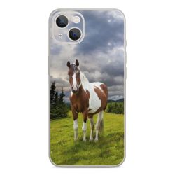 Foils for Smartphones glossy