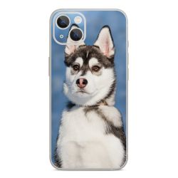 Foils for Smartphones glossy