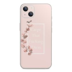 Foils for Smartphones glossy