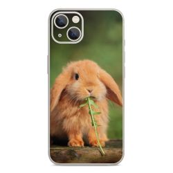 Foils for Smartphones glossy