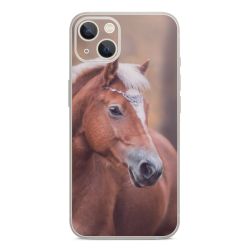 Foils for Smartphones glossy