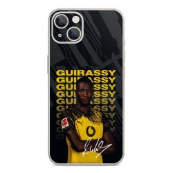 Foils for Smartphones glossy