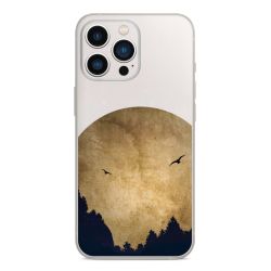 Deux oiseaux et la lune