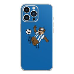 Folien für Smartphones matt