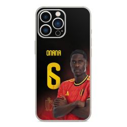 Foils for Smartphones matt