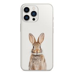 Folier Telefoner måtten