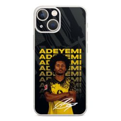 Foils for Smartphones matt