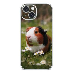 Foils for Smartphones glossy