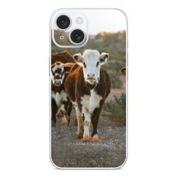 Foils for Smartphones glossy