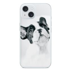 Foils for Smartphones glossy