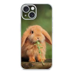 Foils for Smartphones glossy