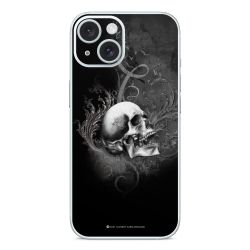 Foils for Smartphones glossy