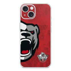 Foils for Smartphones glossy