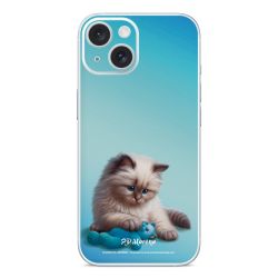 Foils for Smartphones glossy