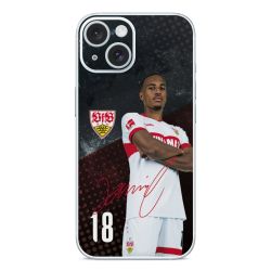 Folien für Smartphones matt