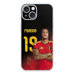 Foils for Smartphones matt