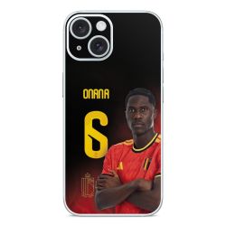 Foils for Smartphones matt