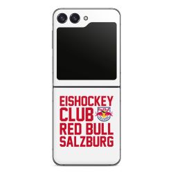 RBS Schriftzug weiß