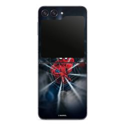 Spider-Man Webs In Action