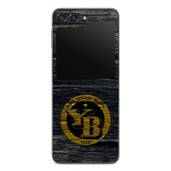 BSC YB Aspect bois