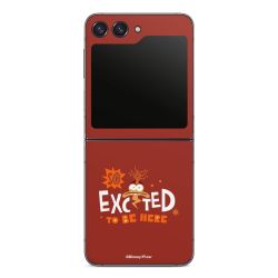 Foils for Smartphones matt