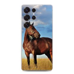 Folier Telefoner måtten