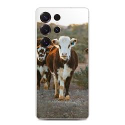 Foils for Smartphones matt