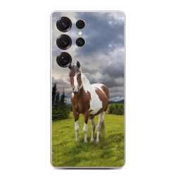 Folier Telefoner måtten