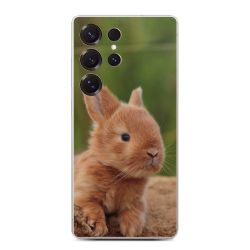 Folier Telefoner måtten