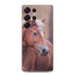 Folier Telefoner måtten