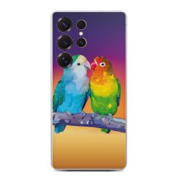 Foils for Smartphones matt