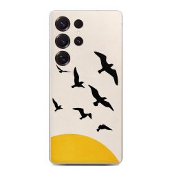 Foils for Smartphones matt