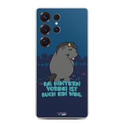 Folien für Smartphones matt