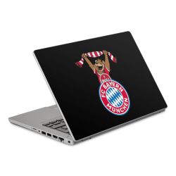 Folien für Laptops matt